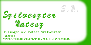 szilveszter matesz business card